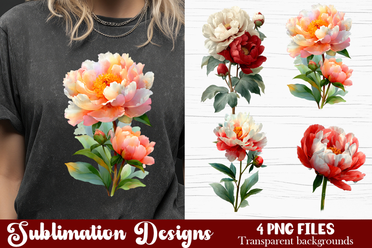Watercolor Pink Peonies Flowers Clipart