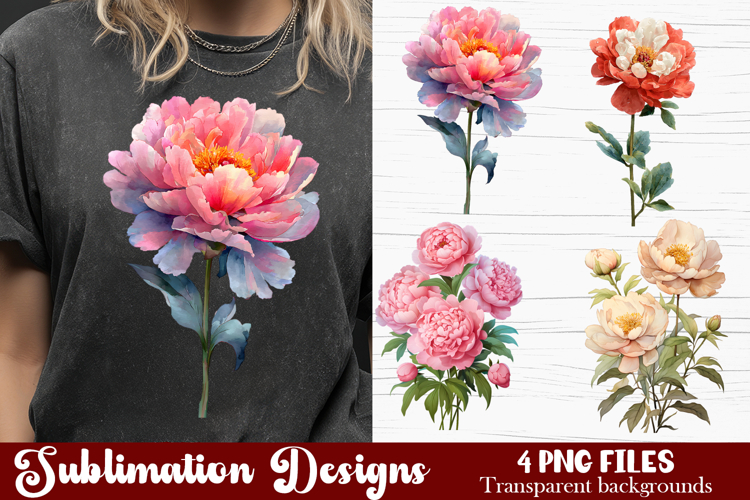 Watercolor Pink Peonies Flowers Clipart