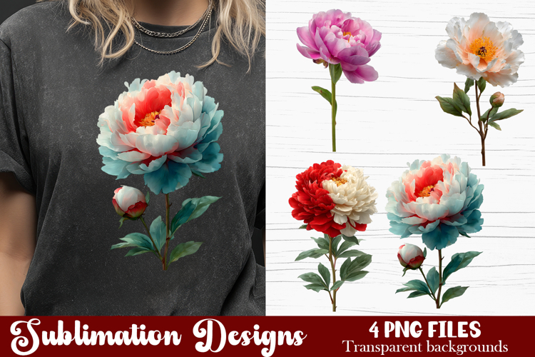 Watercolor Pink Peonies Flowers Clipart