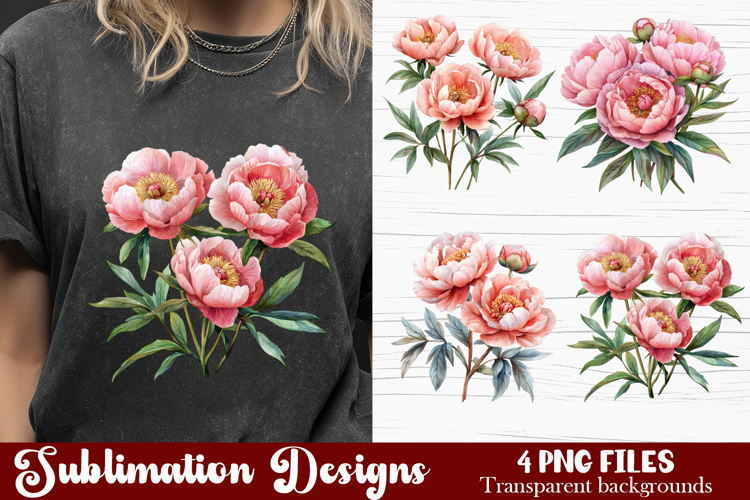 Watercolor Pink Peonies Flowers Clipart