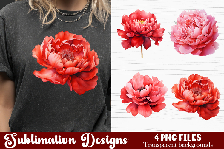 Watercolor Pink Peonies Flowers Clipart