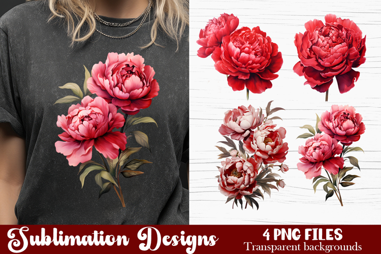 Watercolor Pink Peonies Flowers Clipart