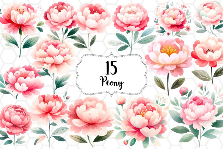 Flower Clipart Png Image 14