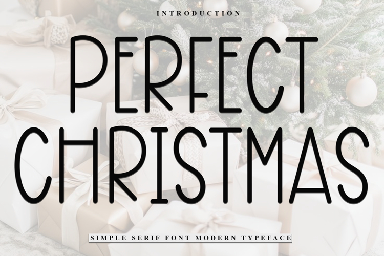 Perfect Christmas