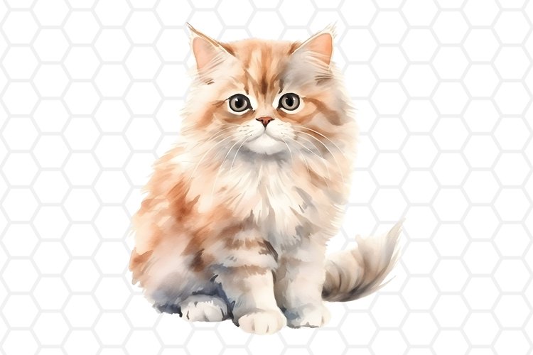 Kawaii Png Image 16