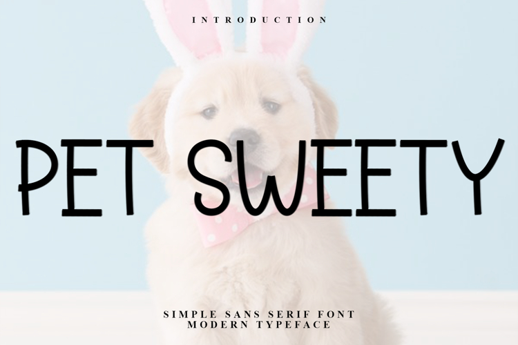 Branding Font Image 5