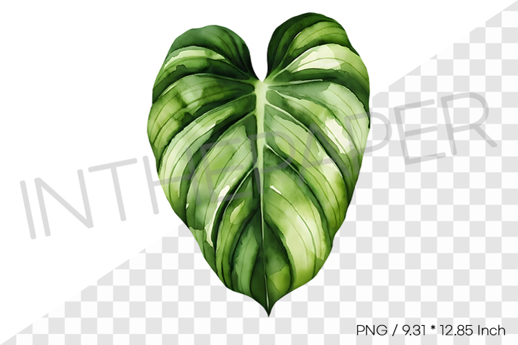 Monstera Leaf Clipart Image 18
