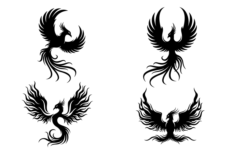 Bird Vector Image 10