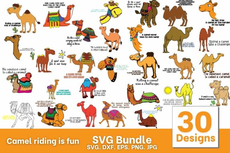 Camel Silhouettes Image 15