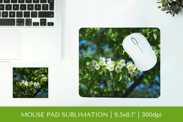 Blooming Pear Blossoms mouse pad sublimation design PNG 004