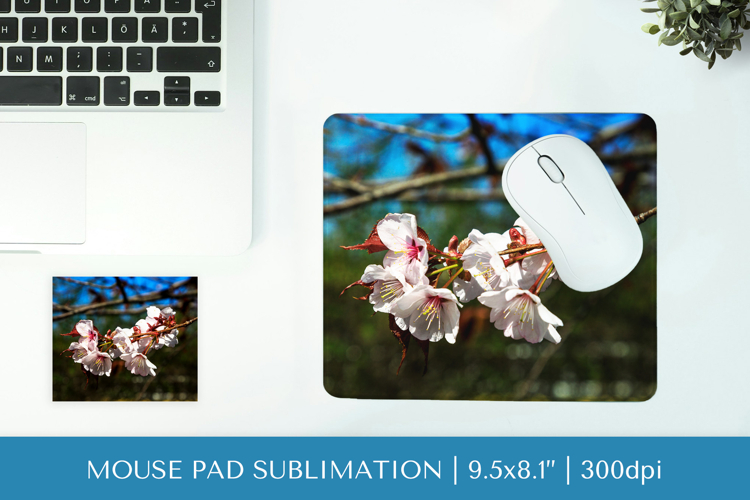 Cherry Blossom in bloom mouse pad sublimation design PNG 011