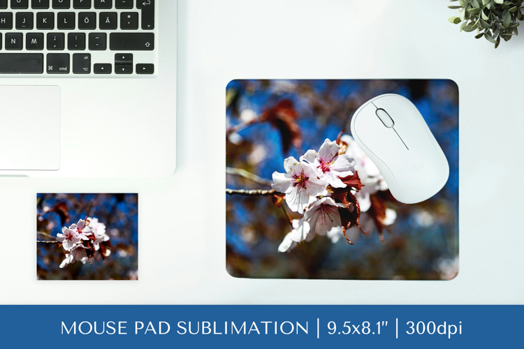 Cherry Blossom in bloom mouse pad sublimation design PNG 018
