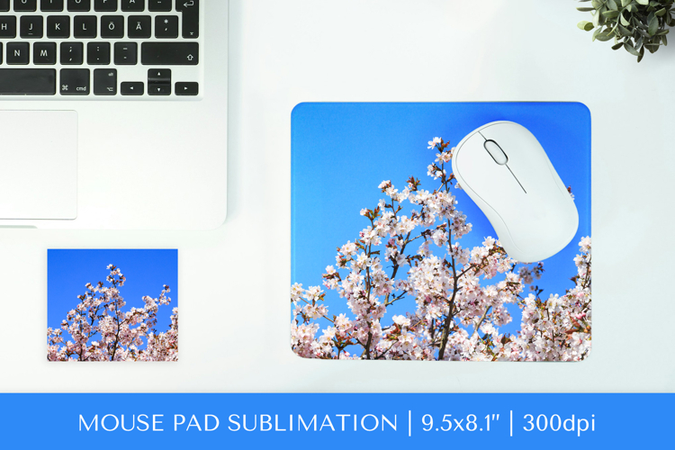 Cherry Blossom in bloom mouse pad sublimation design PNG 020