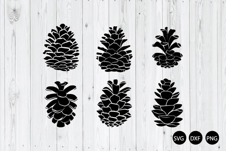 Pine Cones bundle SVG, Cone SVG, Winter SVG