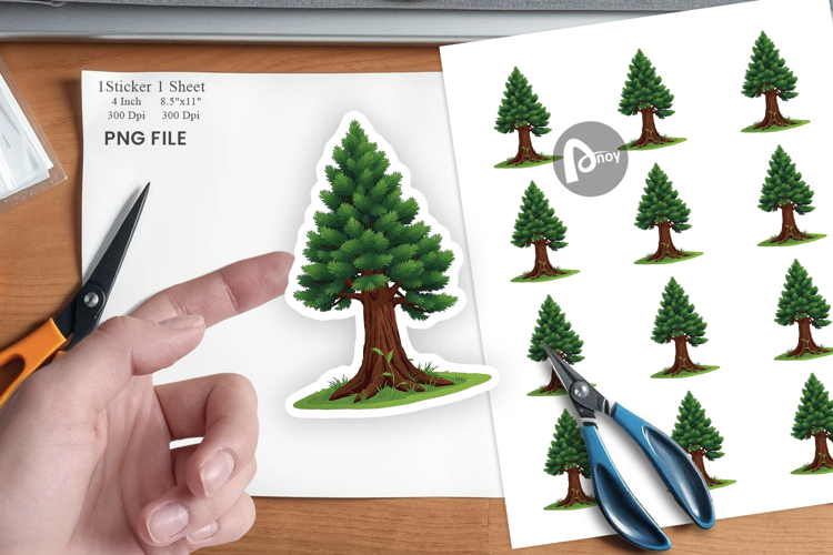 Forest Png Image 12