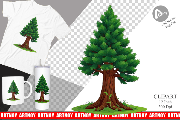 Forest Png Image 24