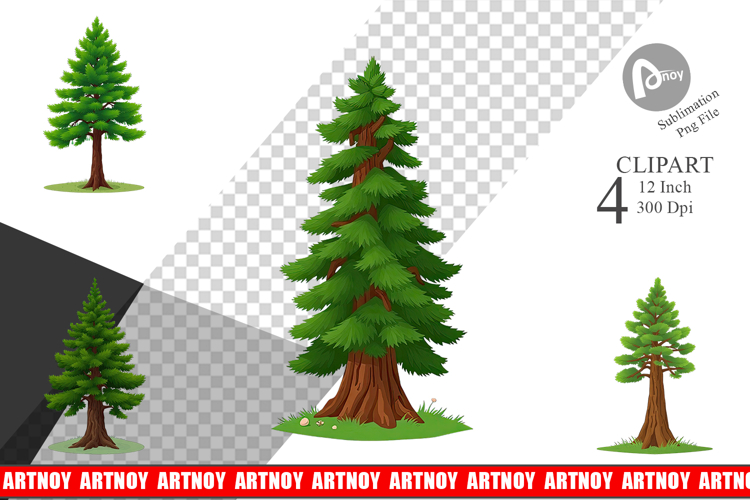 Forest Png Image 24