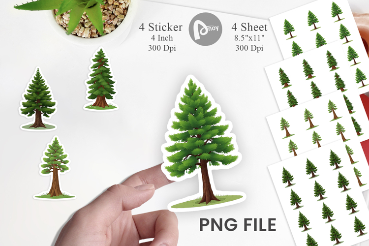 Forest Png Image 11