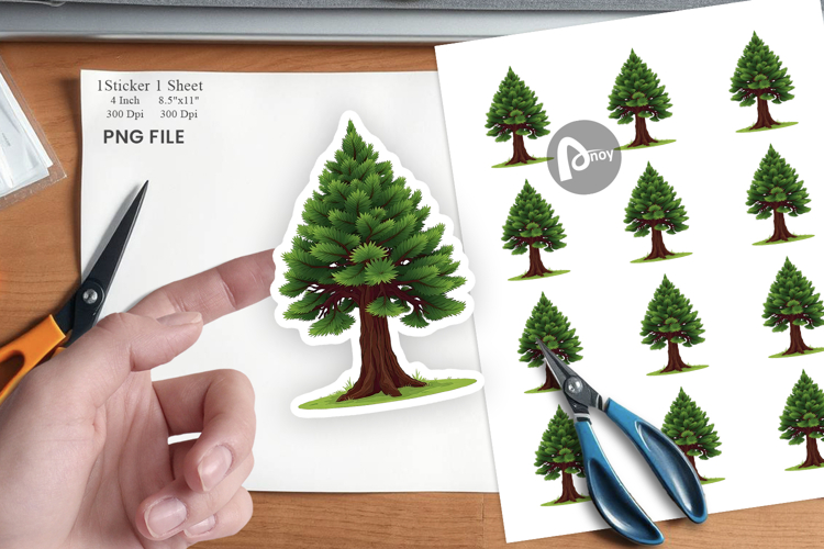 Forest Png Image 10