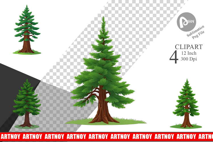 Forest Png Image 24