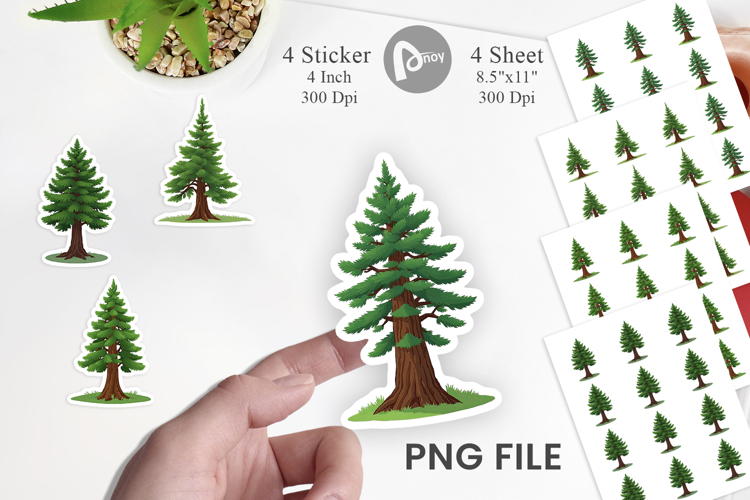 Forest Png Image 10