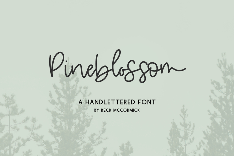 Modern Calligraphy Font Image 20