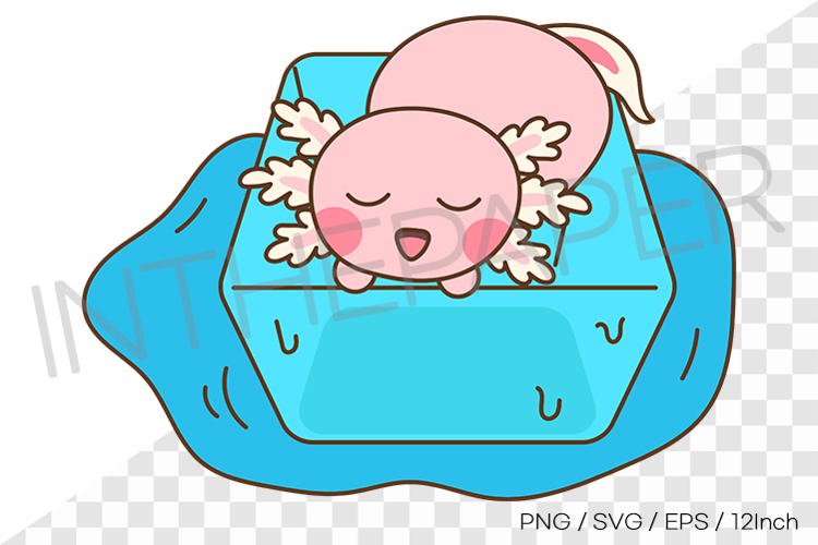 Axolotl Png Image 18