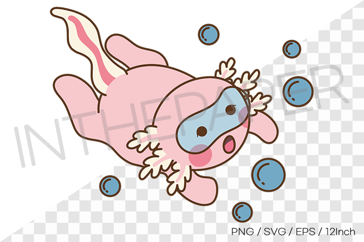 Axolotl Png Image 3