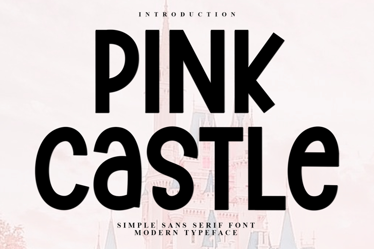 Pink Castle