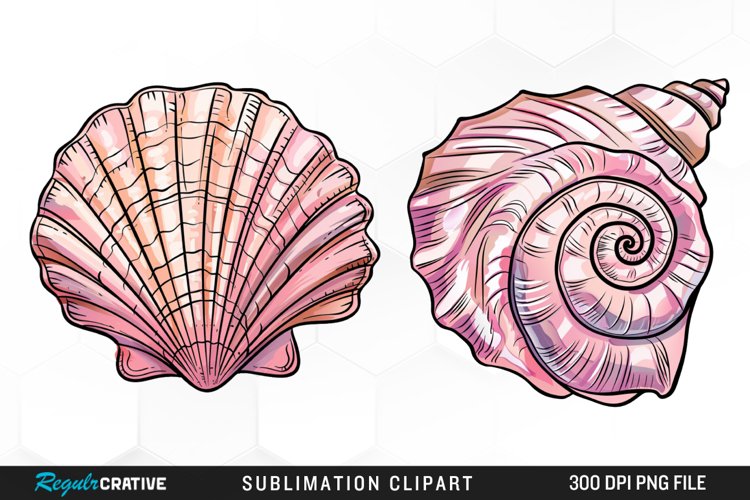 Shell Illustration Image 16