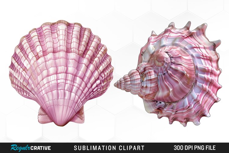Watercolor Pink Color Seashell Clipart