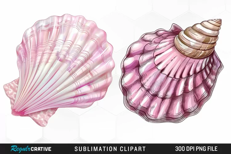 Watercolor Pink Color Seashell PNG Clipart
