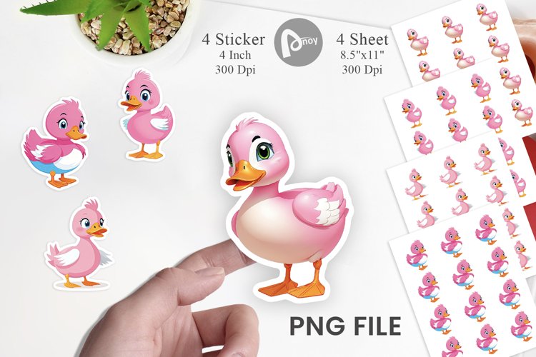Duck Png Image 17