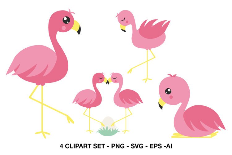 Pink flamingo clipart collection with four cute tropical bird illustrations