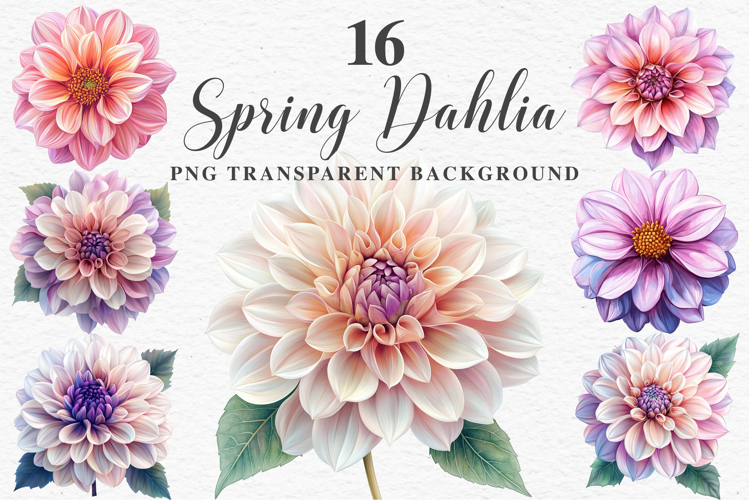 Pink Spring Dahlia Flowers Daisies Pansies Lilies Snapdragon