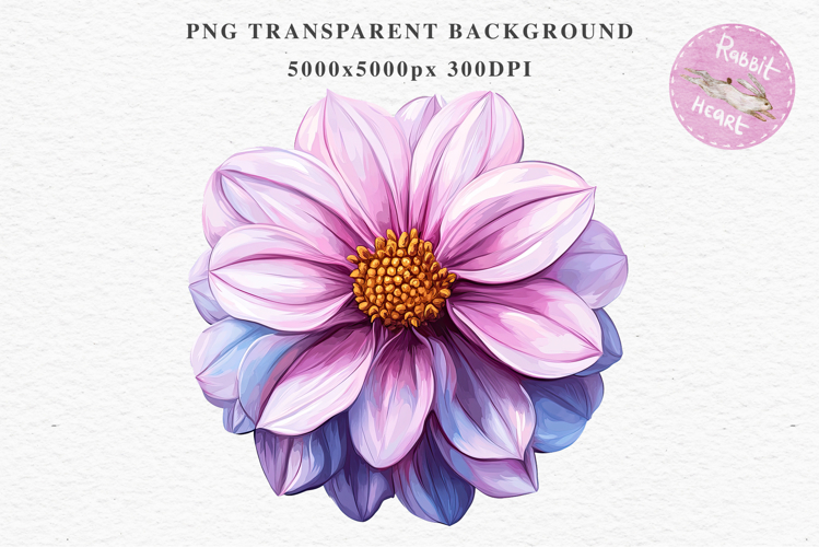Pink Spring Dahlia Flowers Daisies Pansies Lilies Snapdragon