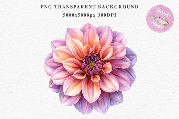 Pink Spring Dahlia Flowers Daisies Pansies Lilies Snapdragon