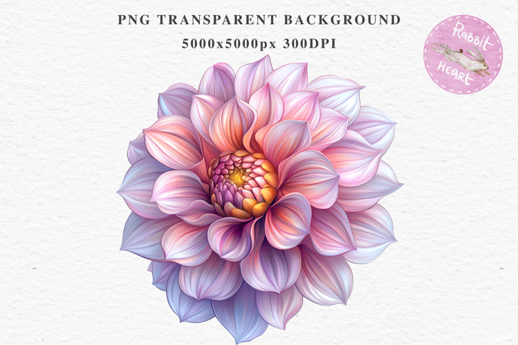 Pink Spring Dahlia Flowers Daisies Pansies Lilies Snapdragon
