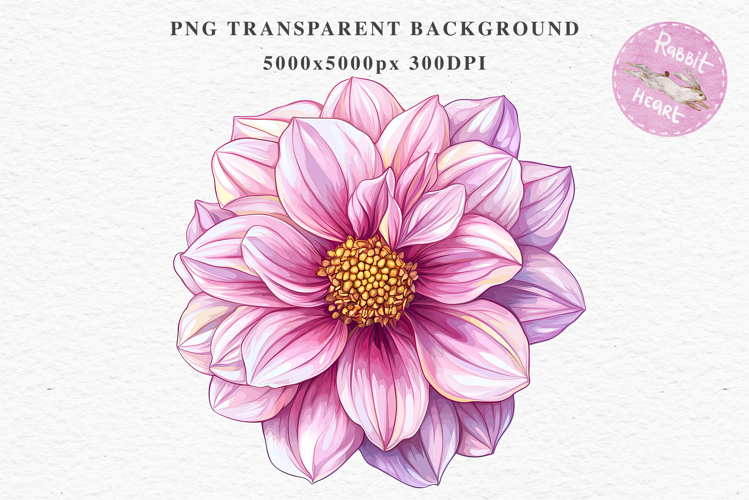 Pink Spring Dahlia Flowers Daisies Pansies Lilies Snapdragon