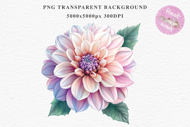 Pink Spring Dahlia Flowers Daisies Pansies Lilies Snapdragon