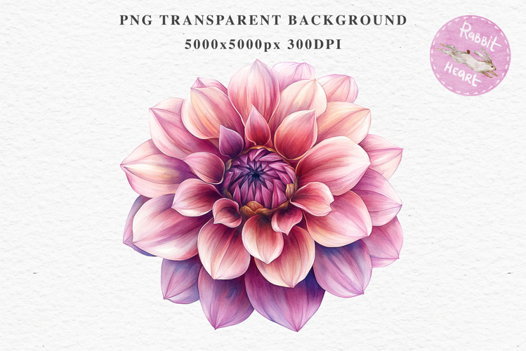 Pink Spring Dahlia Flowers Daisies Pansies Lilies Snapdragon