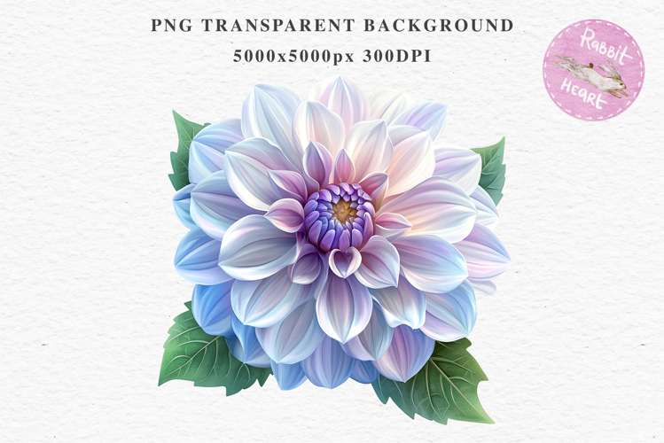 Pink Spring Dahlia Flowers Daisies Pansies Lilies Snapdragon