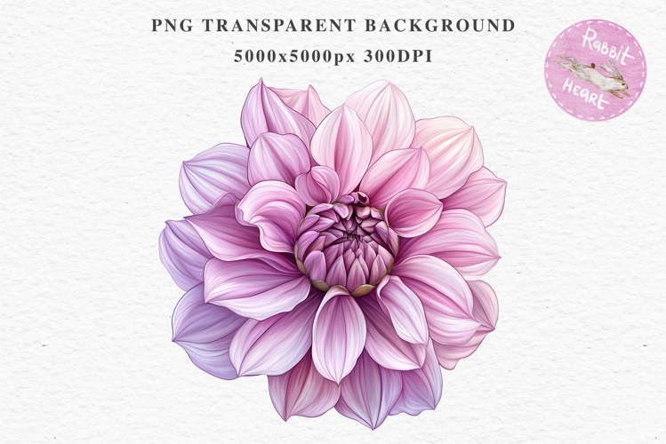Pink Spring Dahlia Flowers Daisies Pansies Lilies Snapdragon