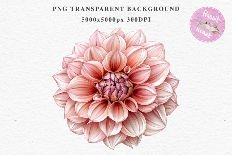 Pink Spring Dahlia Flowers Daisies Pansies Lilies Snapdragon