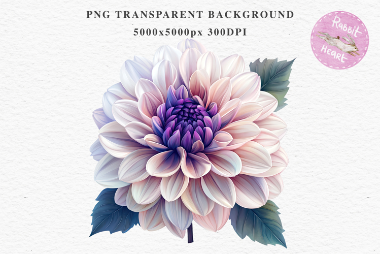 Pink Spring Dahlia Flowers Daisies Pansies Lilies Snapdragon