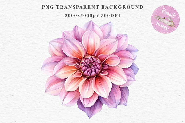 Pink Spring Dahlia Flowers Daisies Pansies Lilies Snapdragon