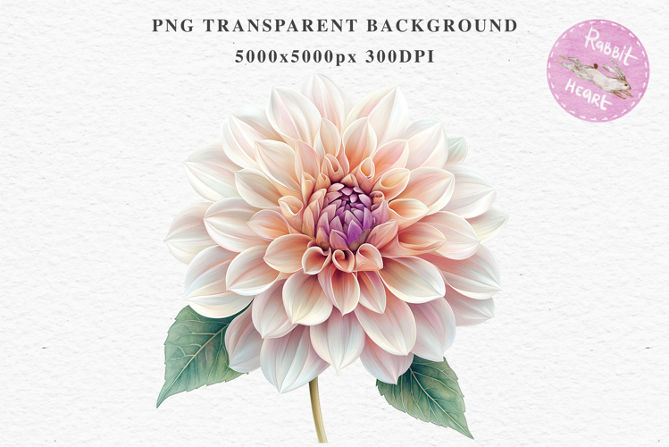 Pink Spring Dahlia Flowers Daisies Pansies Lilies Snapdragon