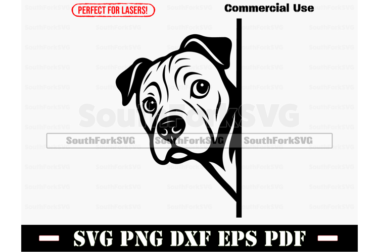 Cat Logo Design Image 5