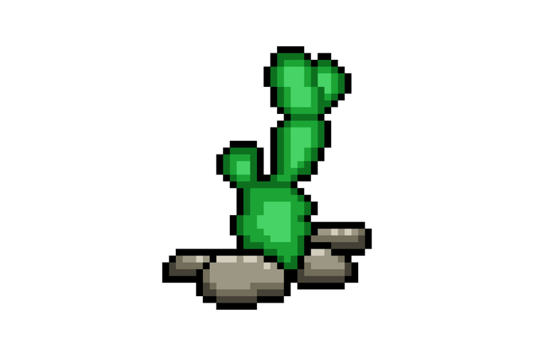 Pixel art cactus nature plant graphic illustration