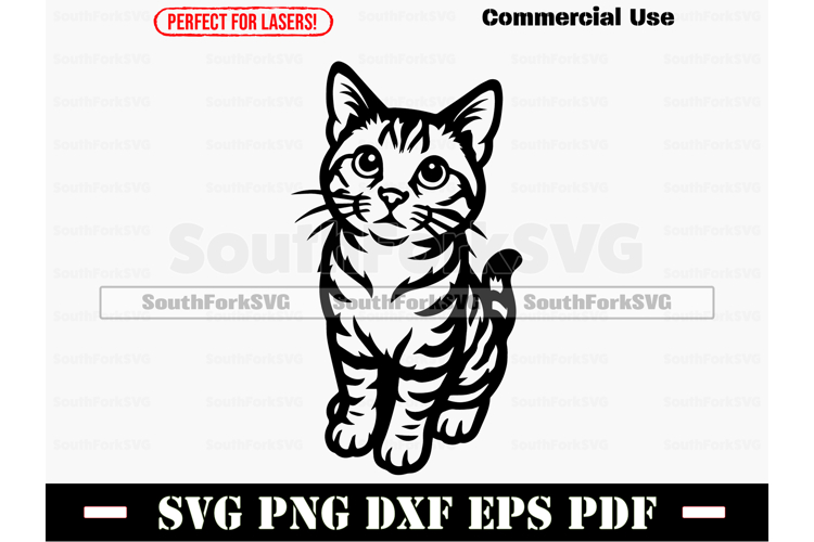 Pixie Bob Cat Begging Design SVG PNG DXF EPS PDF